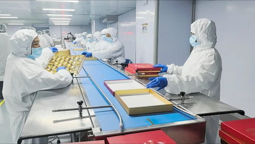 一句玩笑話，撬動瑞士蓮上海生產線 亞太首條食品產線落戶申城背后的故事